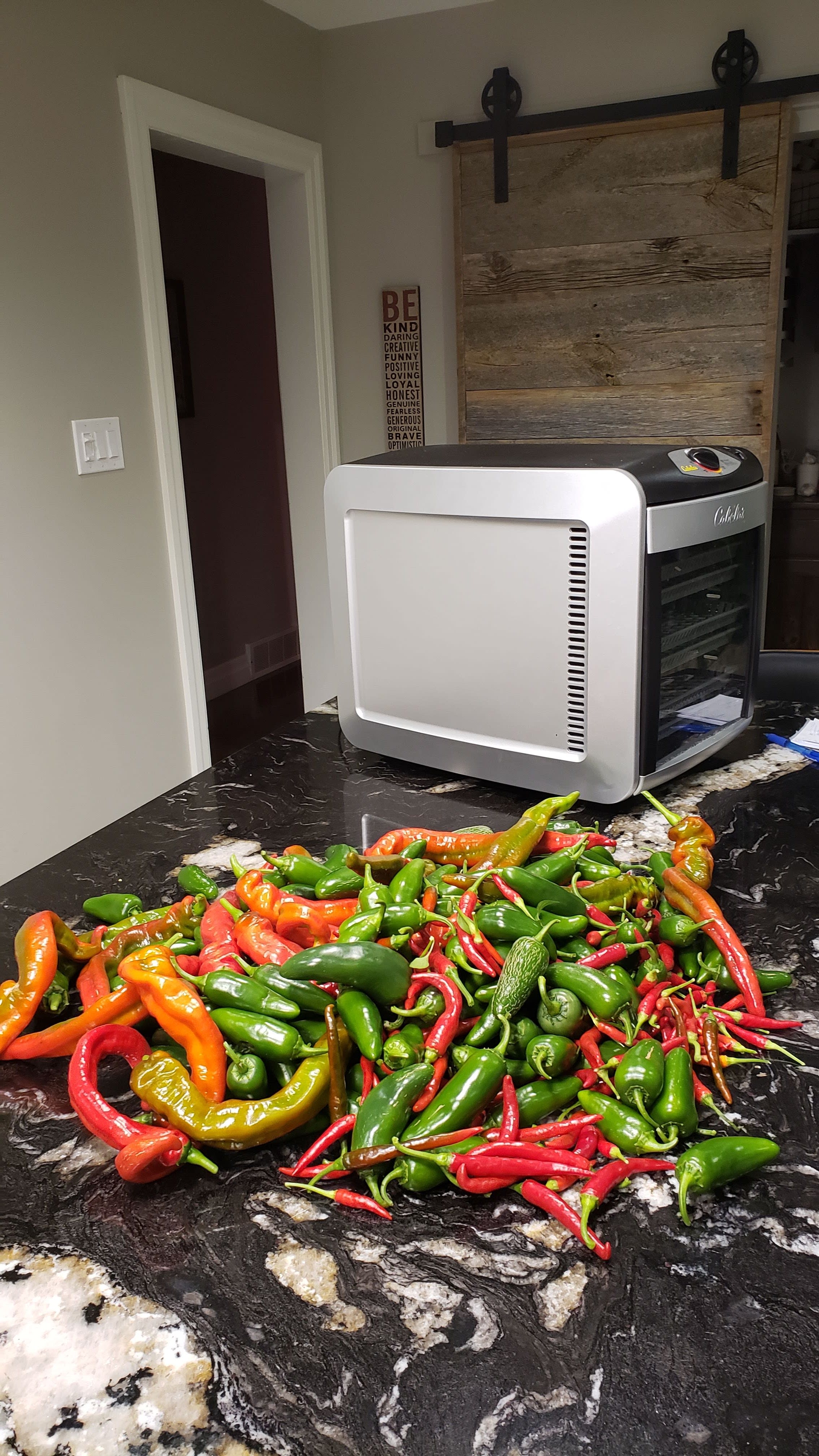 peppers beside dehydrator